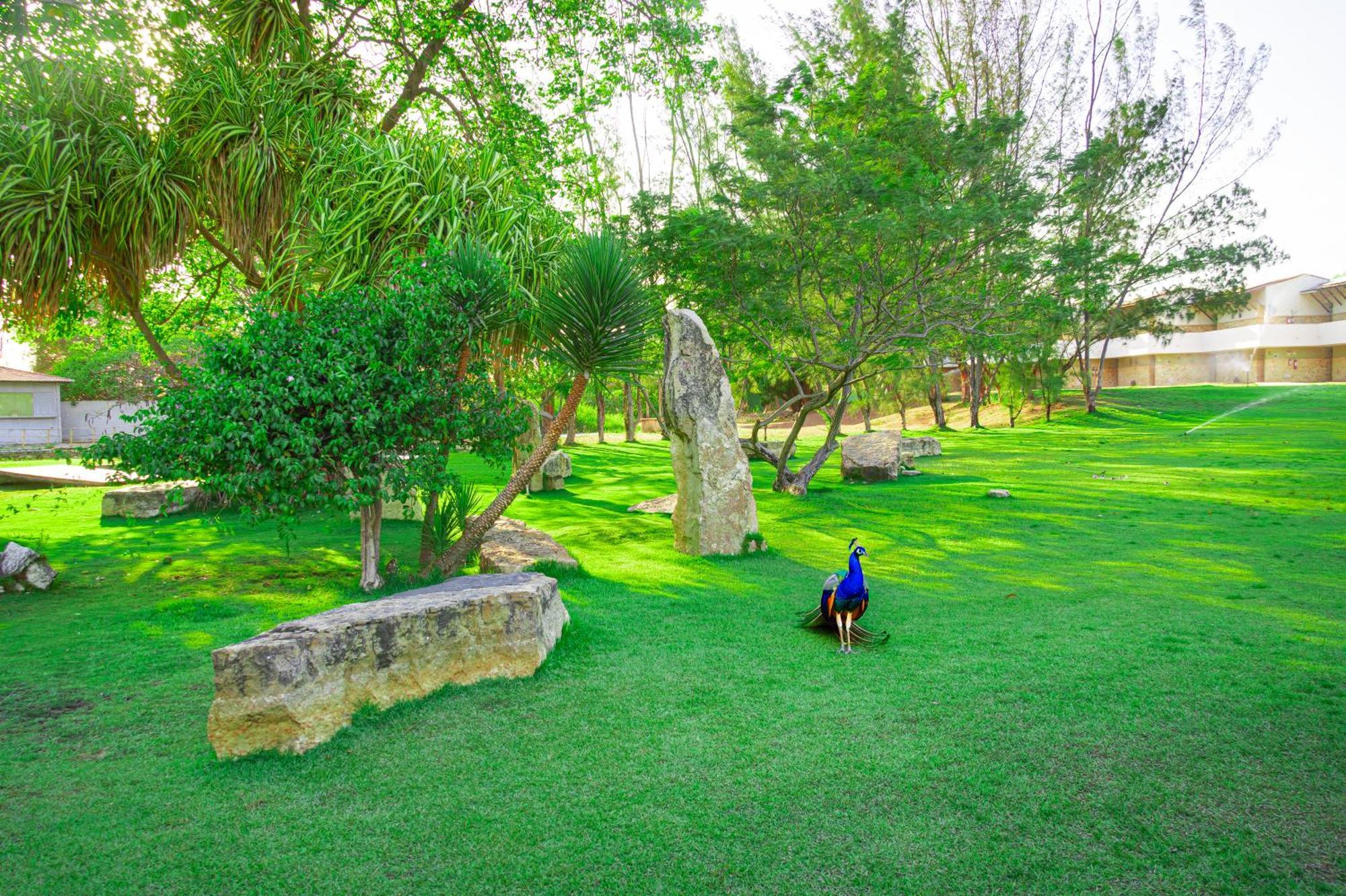 Thermas Hotel Mossoro Luaran gambar